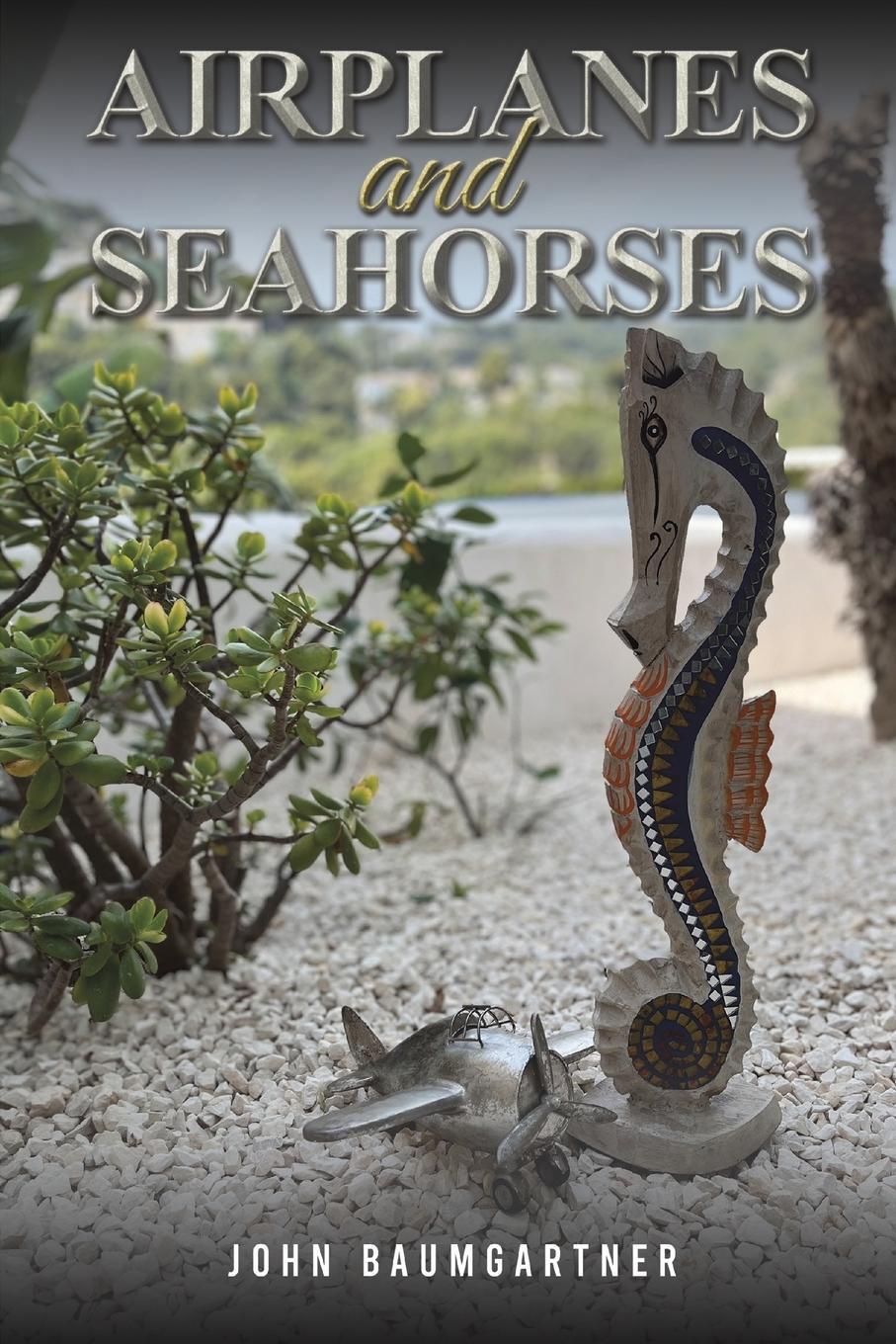 Cover: 9781035820627 | Airplanes and Seahorses | John Baumgartner | Taschenbuch | Paperback