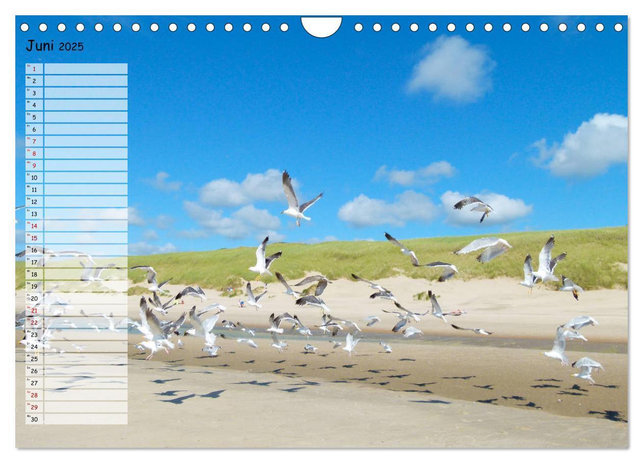 Bild: 9783435275236 | Egmond aan Zee (Wandkalender 2025 DIN A4 quer), CALVENDO...