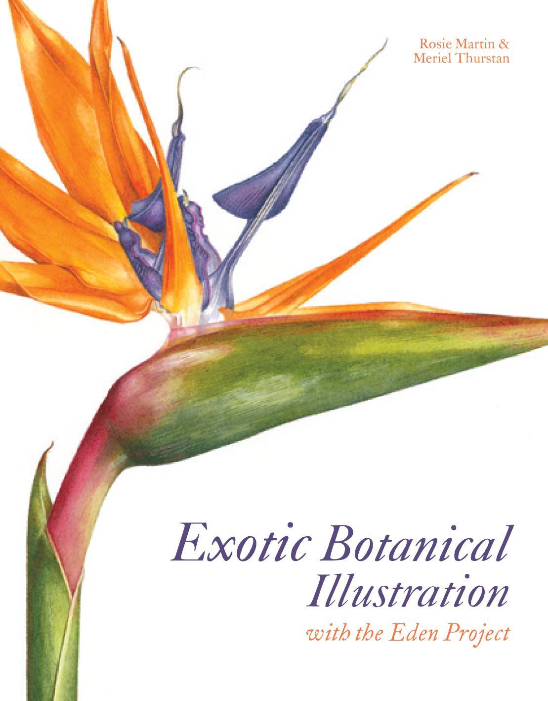 Cover: 9781849940313 | Exotic Botanical Illustration | with the Eden Project | Buch | 2012
