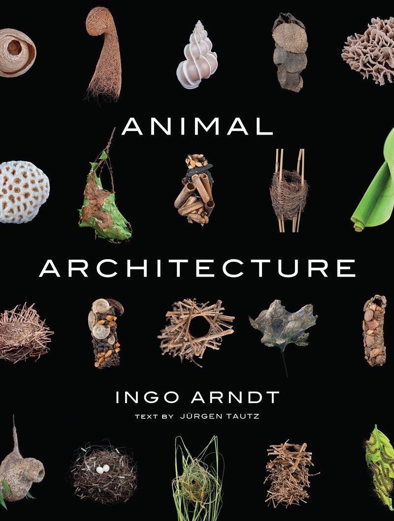Cover: 9781419711657 | Animal Architecture | Ingo Arndt | Buch | Englisch | 2014