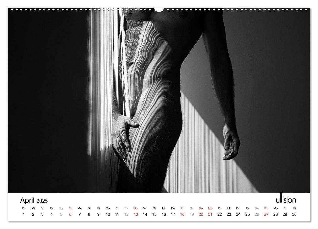 Bild: 9783435565276 | Männer AKT Art (Wandkalender 2025 DIN A2 quer), CALVENDO...