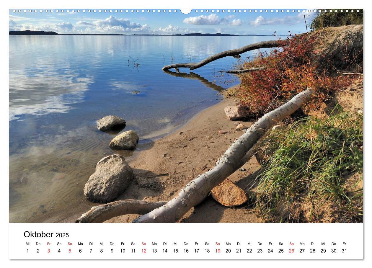 Bild: 9783435836970 | Insel Rügen (Wandkalender 2025 DIN A2 quer), CALVENDO Monatskalender