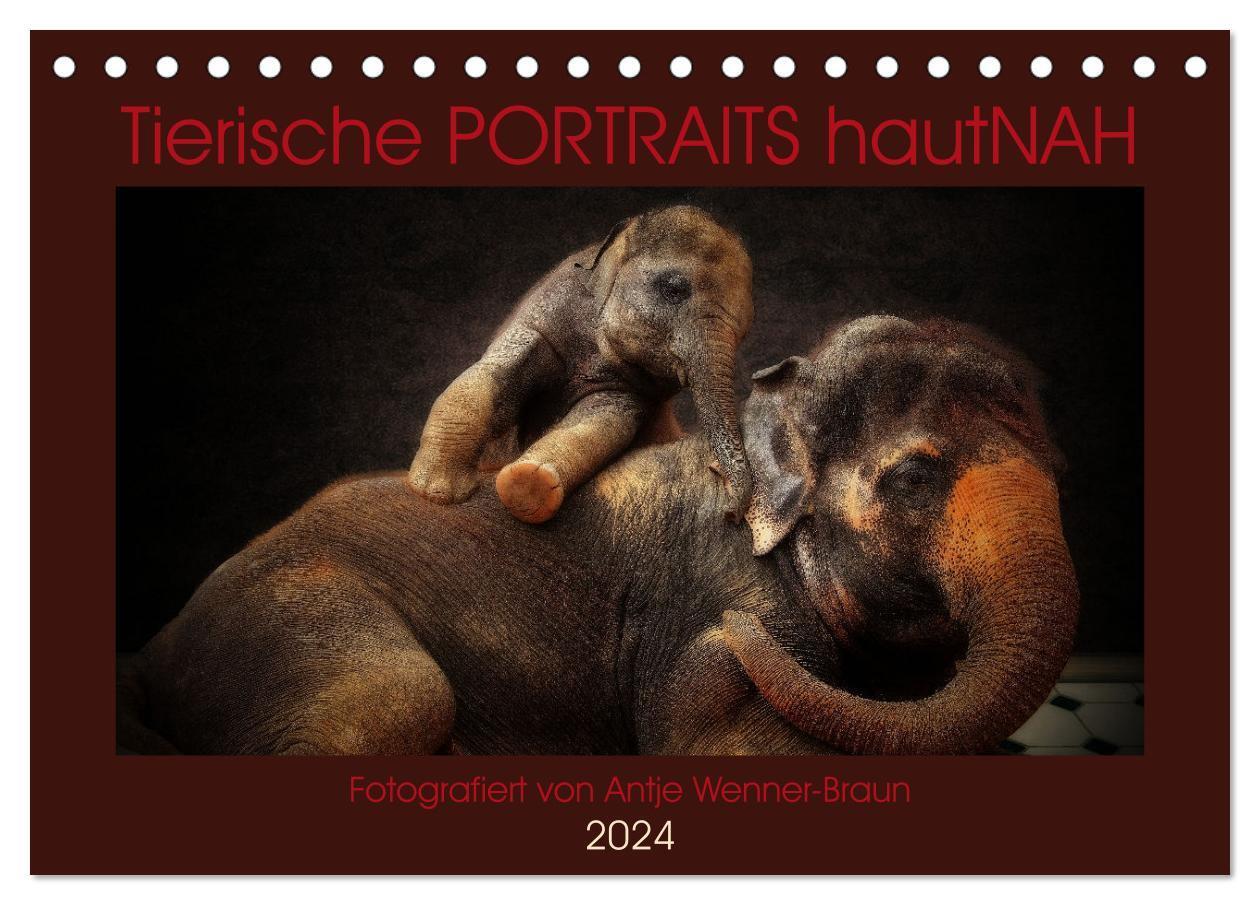 Cover: 9783675926417 | Tierische PORTRAITS hautNAH (Tischkalender 2024 DIN A5 quer),...