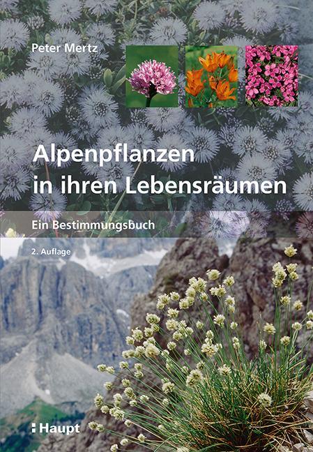 Cover: 9783258080055 | Alpenpflanzen in ihren Lebensräumen | Ein Bestimmungsbuch | Mertz