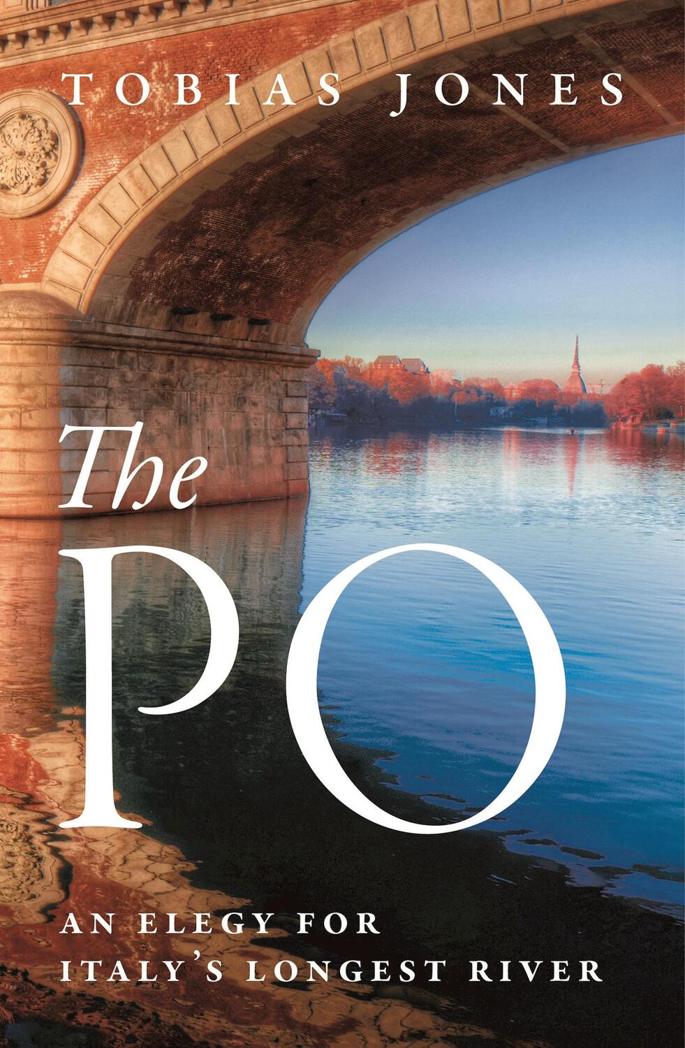 Cover: 9781786697394 | The Po | An Elegy for Italy's Longest River | Tobias Jones | Buch