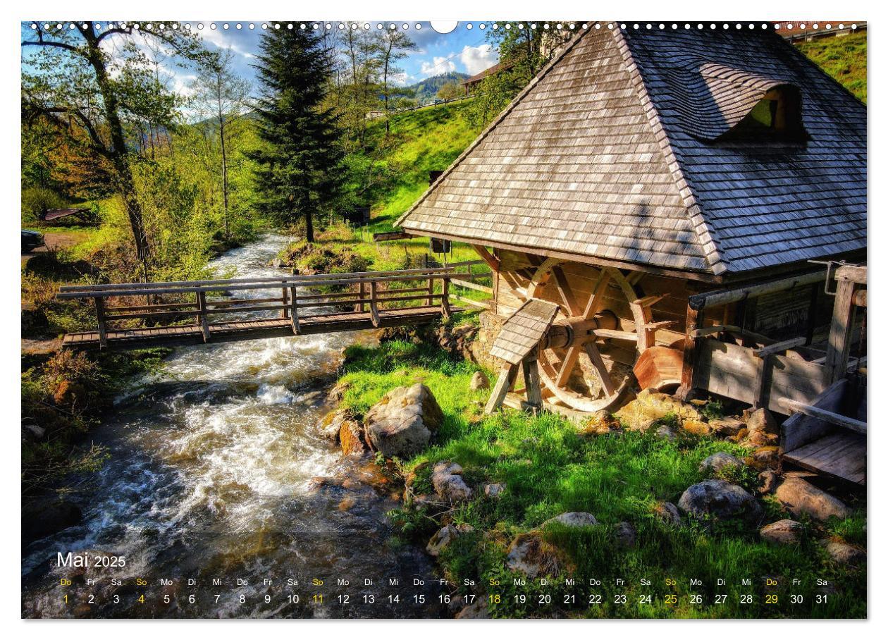 Bild: 9783457235485 | Faszination Schwarzwald (Wandkalender 2025 DIN A2 quer), CALVENDO...