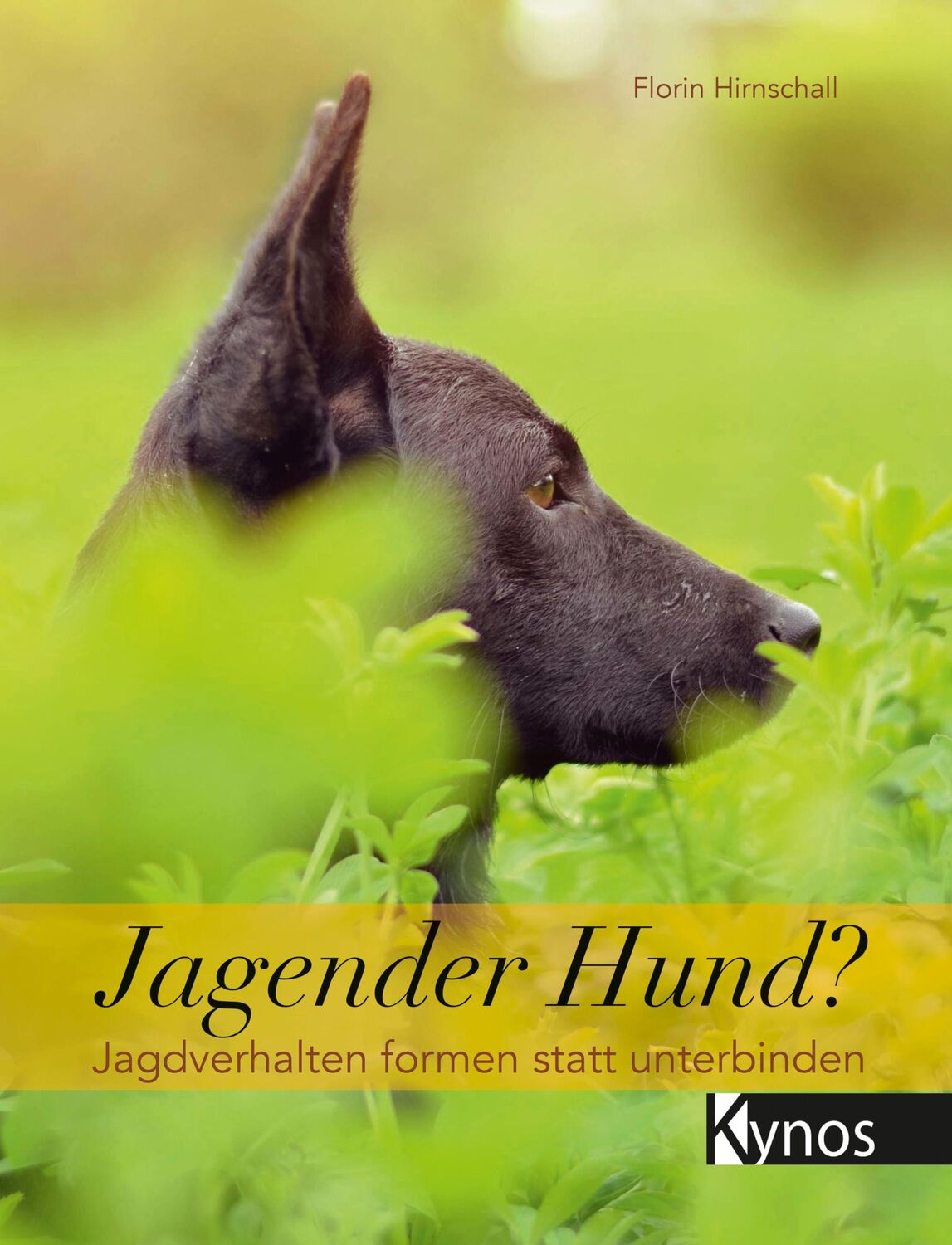 Cover: 9783954641666 | Jagender Hund? | Jagdverhalten formen statt unterbinden | Hirnschall