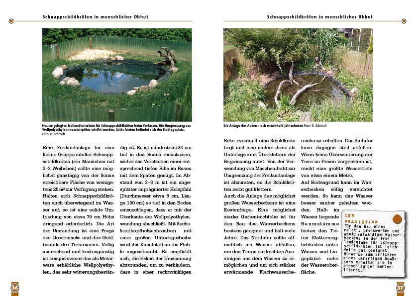 Bild: 9783866591226 | Die Schnappschildkröte | Chelydra serpentina | Dieter Schmidt | Buch