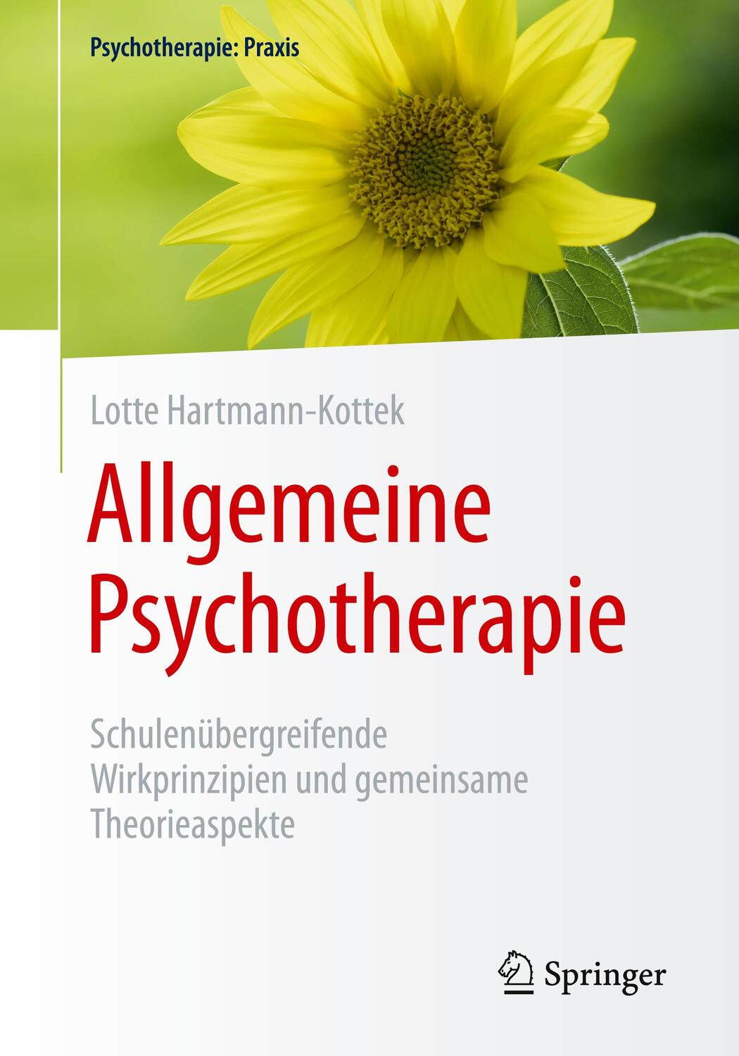 Cover: 9783662612552 | Allgemeine Psychotherapie | Lotte Hartmann-Kottek | Taschenbuch | XXII