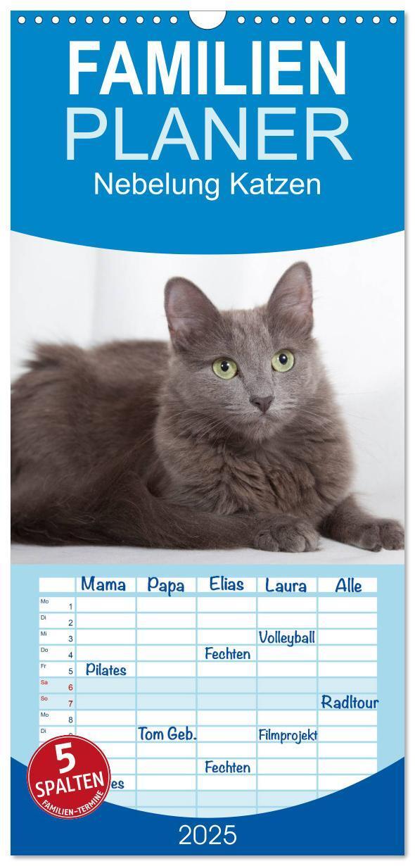 Cover: 9783457121764 | Familienplaner 2025 - Nebelung Katzen mit 5 Spalten (Wandkalender,...