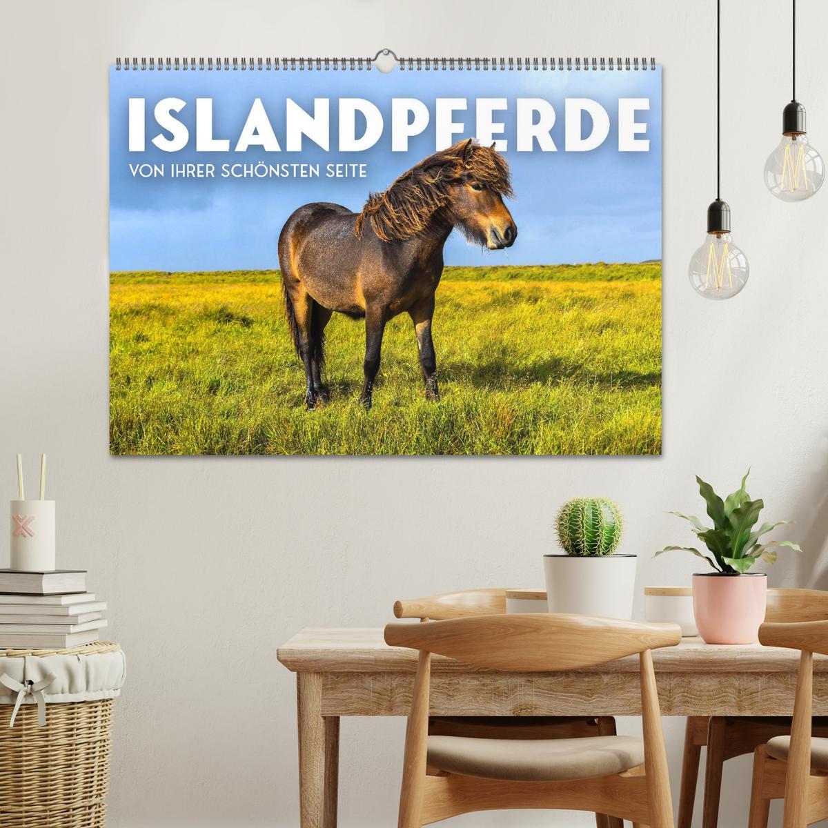 Bild: 9783383929892 | Islandpferde - Von ihrer schönsten Seite (Wandkalender 2025 DIN A2...