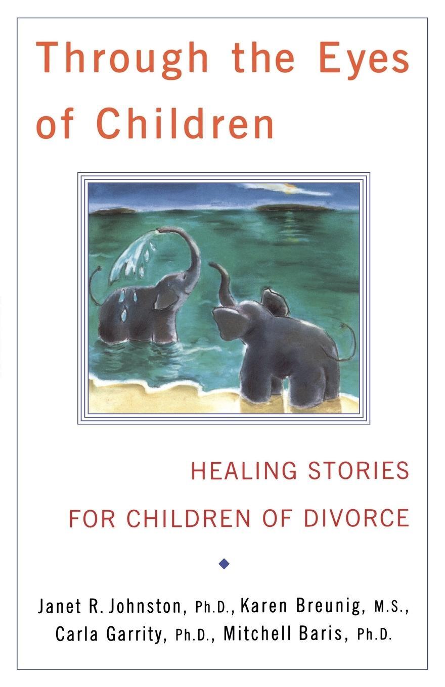 Cover: 9780684837031 | Through the Eyes of Children | Janet Johnston | Taschenbuch | Englisch