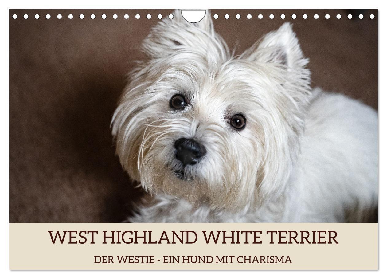 Cover: 9783675640634 | WEST HIGHLAND WHITE TERRIER - DER WESTIE - EIN HUND MIT CHARISMA...