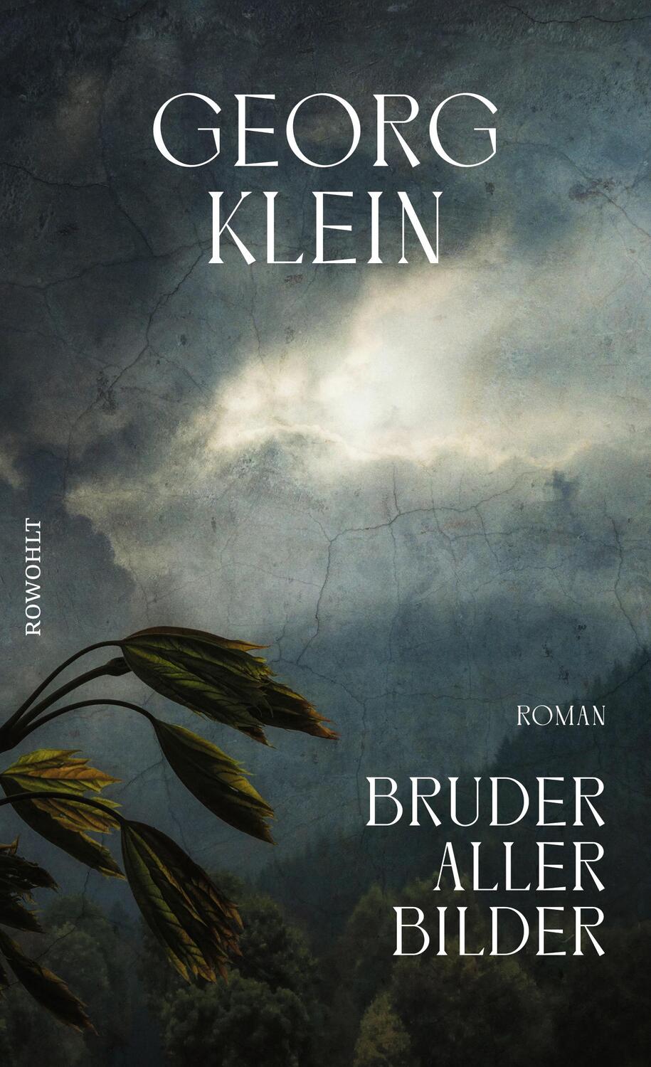 Cover: 9783498035846 | Bruder aller Bilder | Georg Klein | Buch | Deutsch | 2021 | Rowohlt