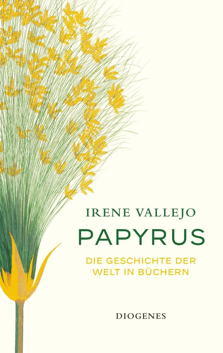 Cover: 9783257071986 | Papyrus | Die Geschichte der Welt in Büchern | Irene Vallejo | Buch