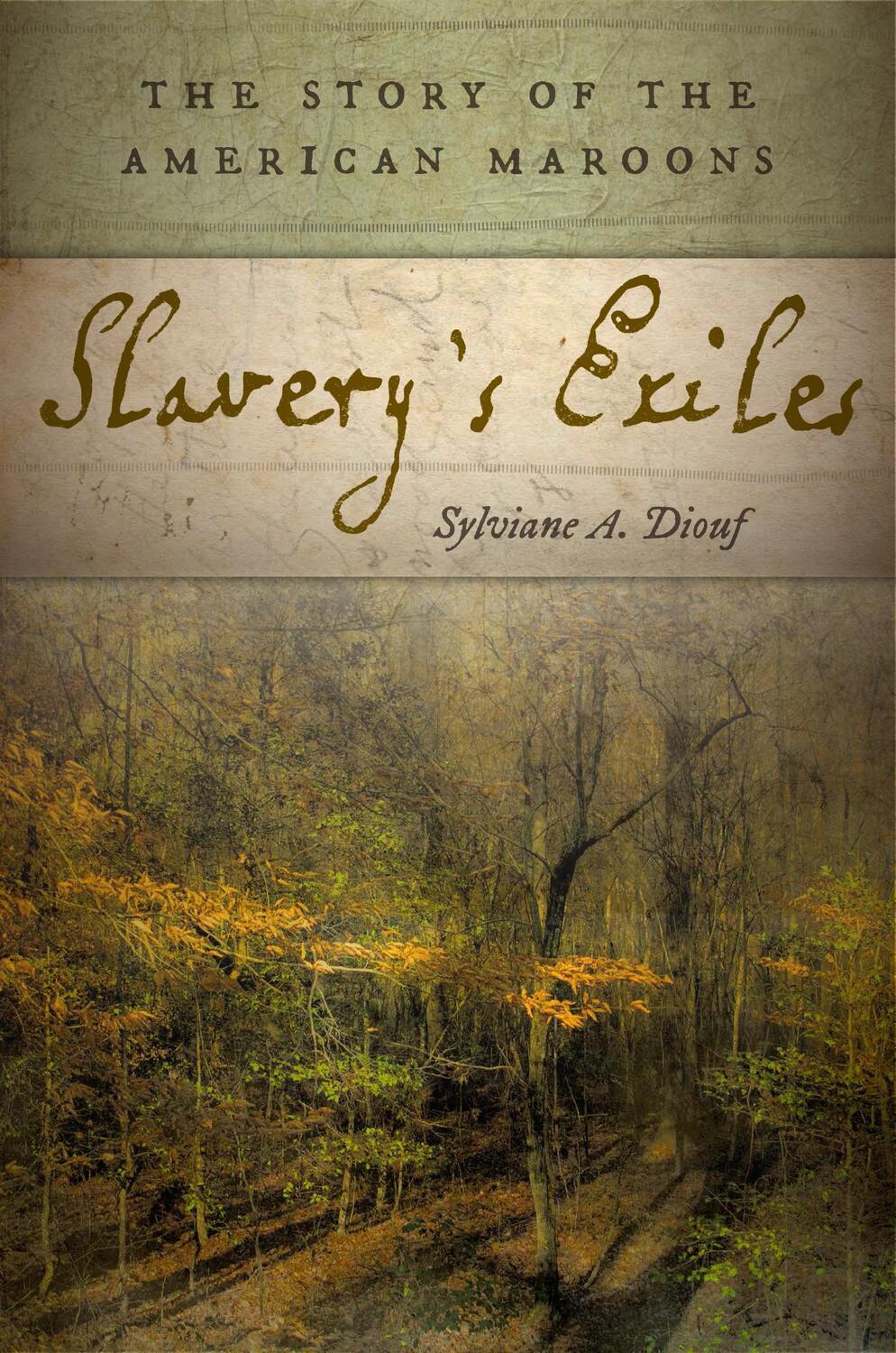Cover: 9780814760284 | Slavery's Exiles | The Story of the American Maroons | Diouf | Buch