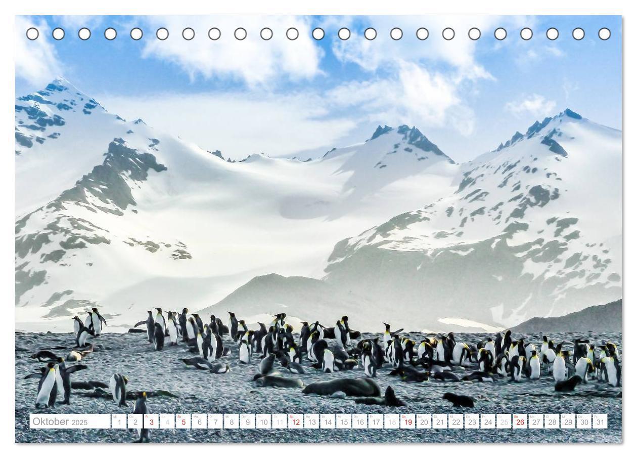 Bild: 9783435801190 | Antarktis - Das Reich der Pinguine (Tischkalender 2025 DIN A5...