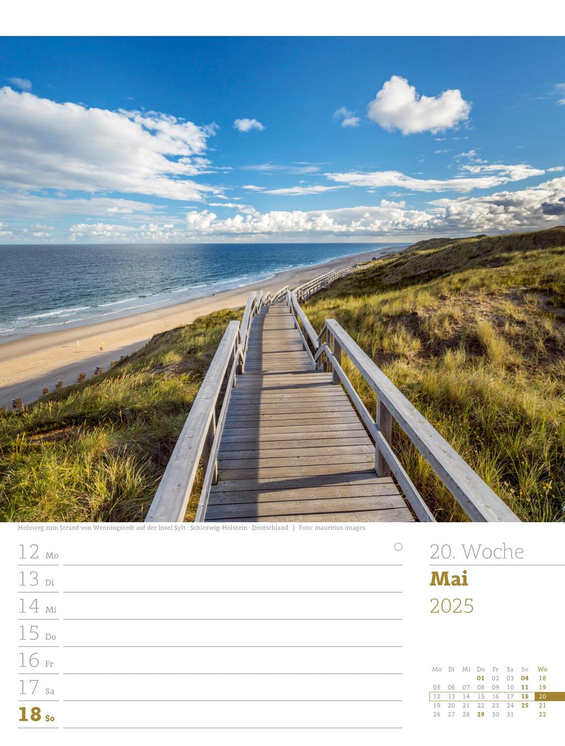 Bild: 9783838435039 | Am Meer - Wochenplaner Kalender 2025 | Ackermann Kunstverlag | 56 S.