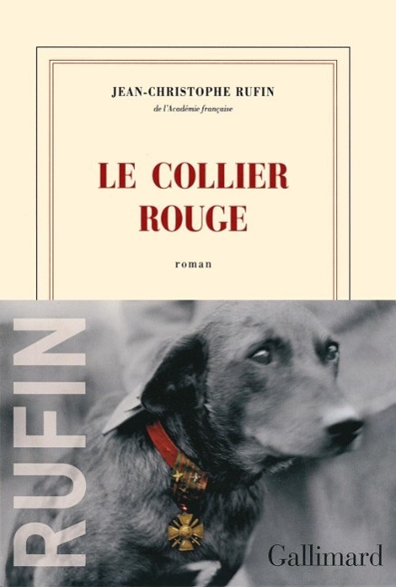 Cover: 9782070462971 | Le collier rouge | Roman | Jean-Christophe Rufin | Taschenbuch | 2015