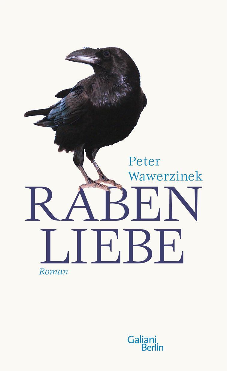 Cover: 9783869710204 | Rabenliebe | Eine Erschütterung | Peter Wawerzinek | Buch | Deutsch