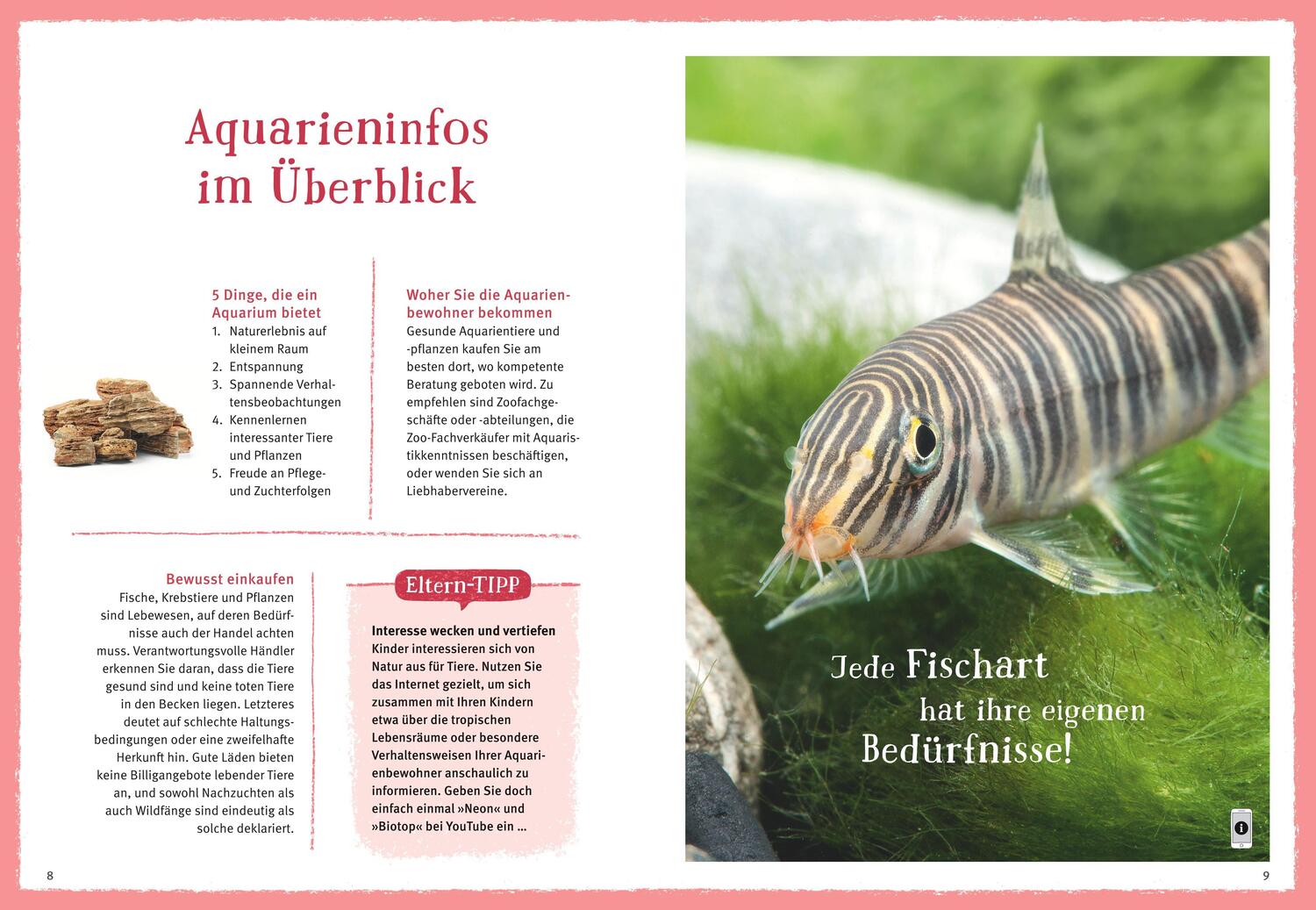 Bild: 9783833848513 | Faszinierendes Aquarium | Ulrich Schliewen | Taschenbuch | 144 S.