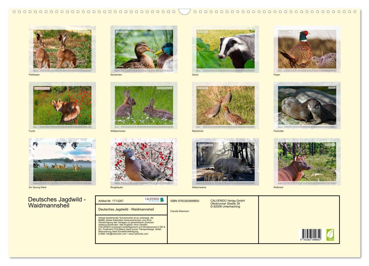 Bild: 9783383899850 | Deutsches Jagdwild - Waidmannsheil (Wandkalender 2025 DIN A2 quer),...