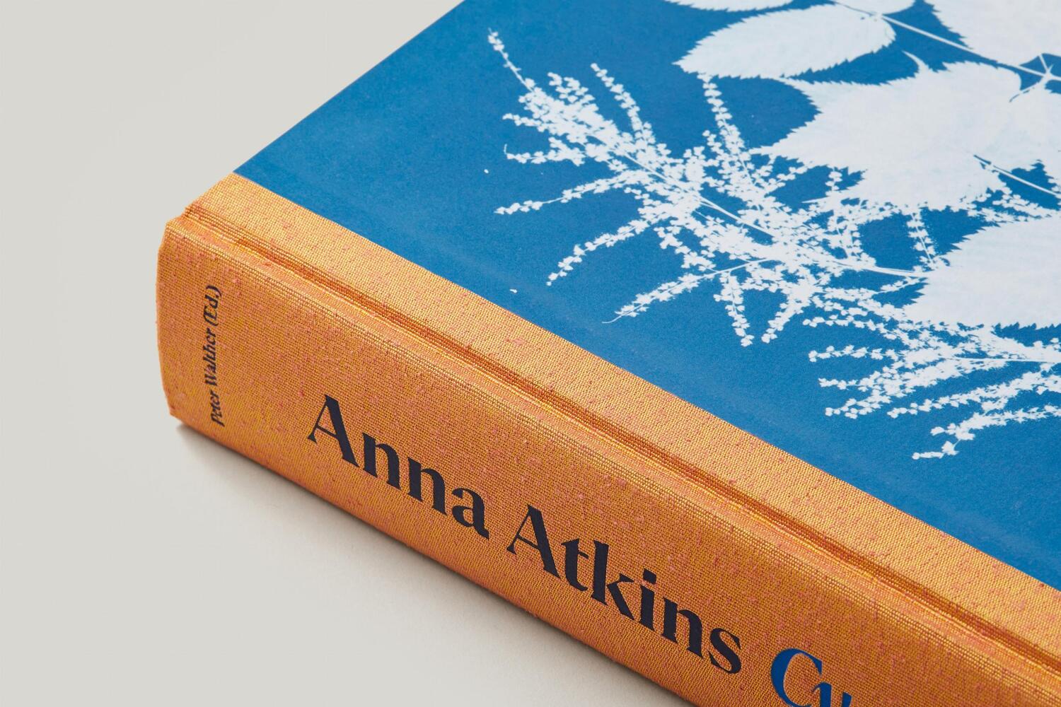Bild: 9783836596039 | Anna Atkins. Cyanotypes | Peter Walther | Buch | Schuber | 660 S.