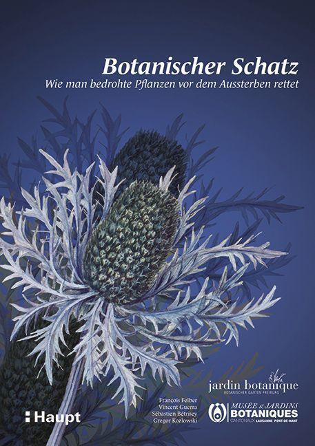 Cover: 9783258082134 | Botanischer Schatz | Taschenbuch | 112 S. | Deutsch | 2020