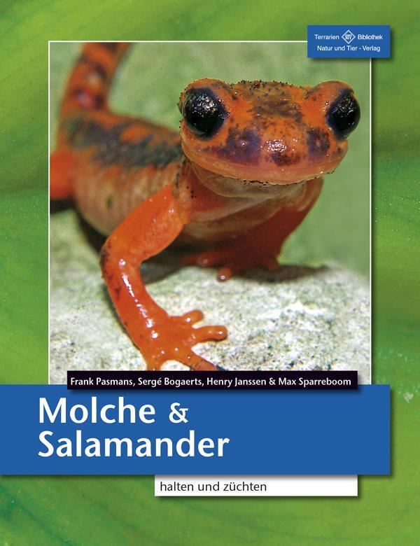 Cover: 9783866592667 | Molche und Salamander | halten und züchten | Frank Pasmans (u. a.)
