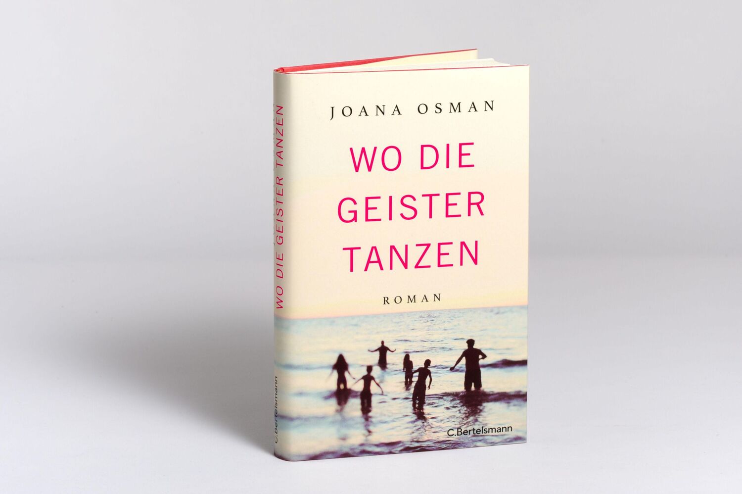 Bild: 9783570105221 | Wo die Geister tanzen | Roman | Joana Osman | Buch | 224 S. | Deutsch