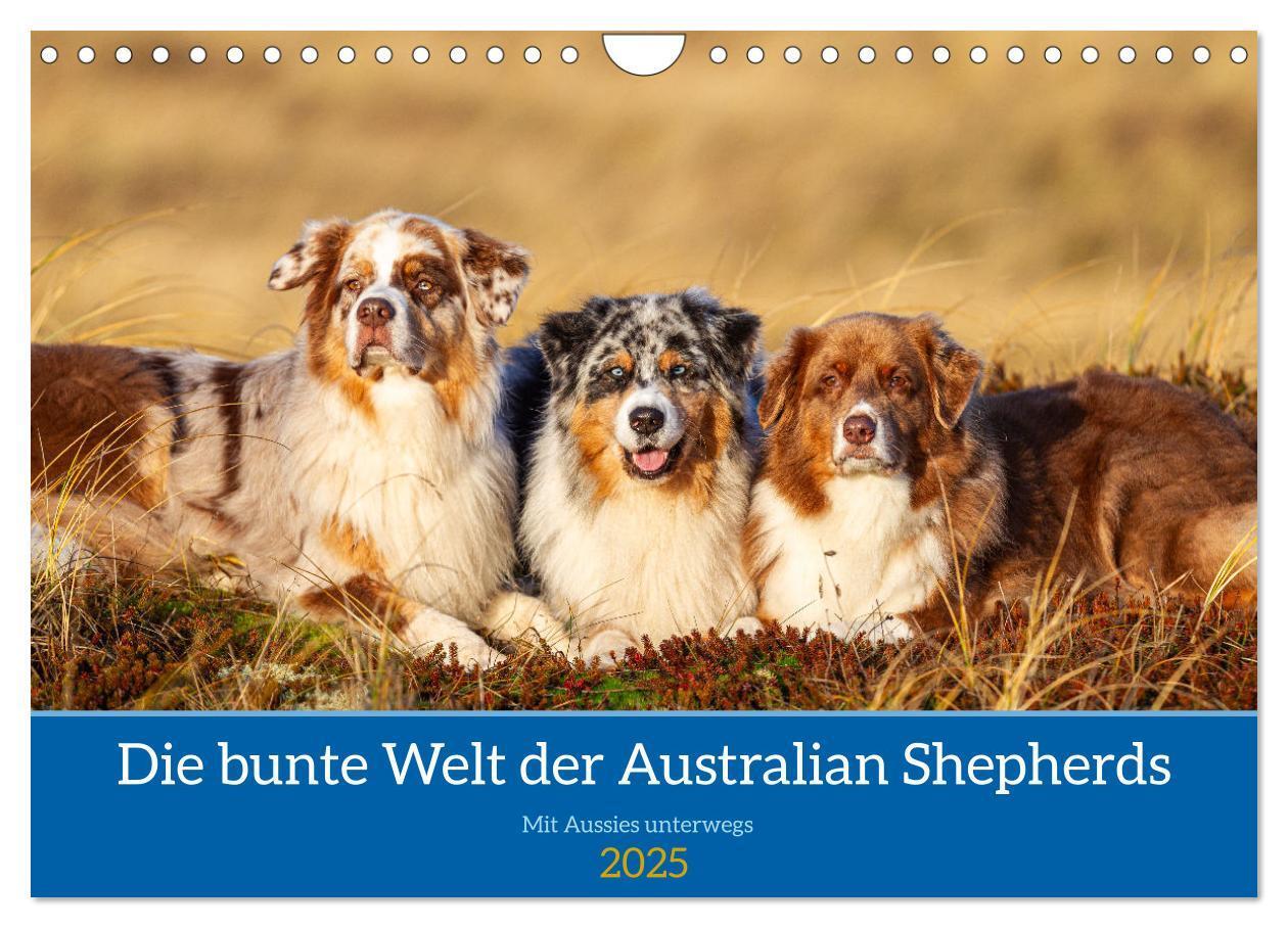 Cover: 9783435762880 | Mit Aussies unterwegs - Die bunte Welt der Australian Shepherds...