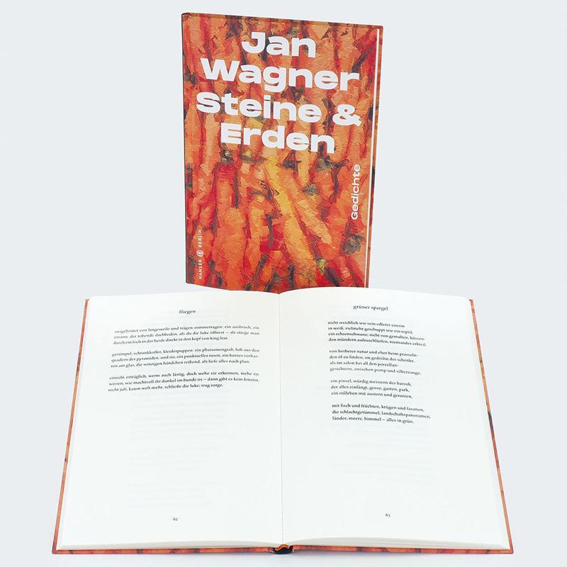 Bild: 9783446277304 | Steine &amp; Erden | Gedichte | Jan Wagner | Buch | 112 S. | Deutsch