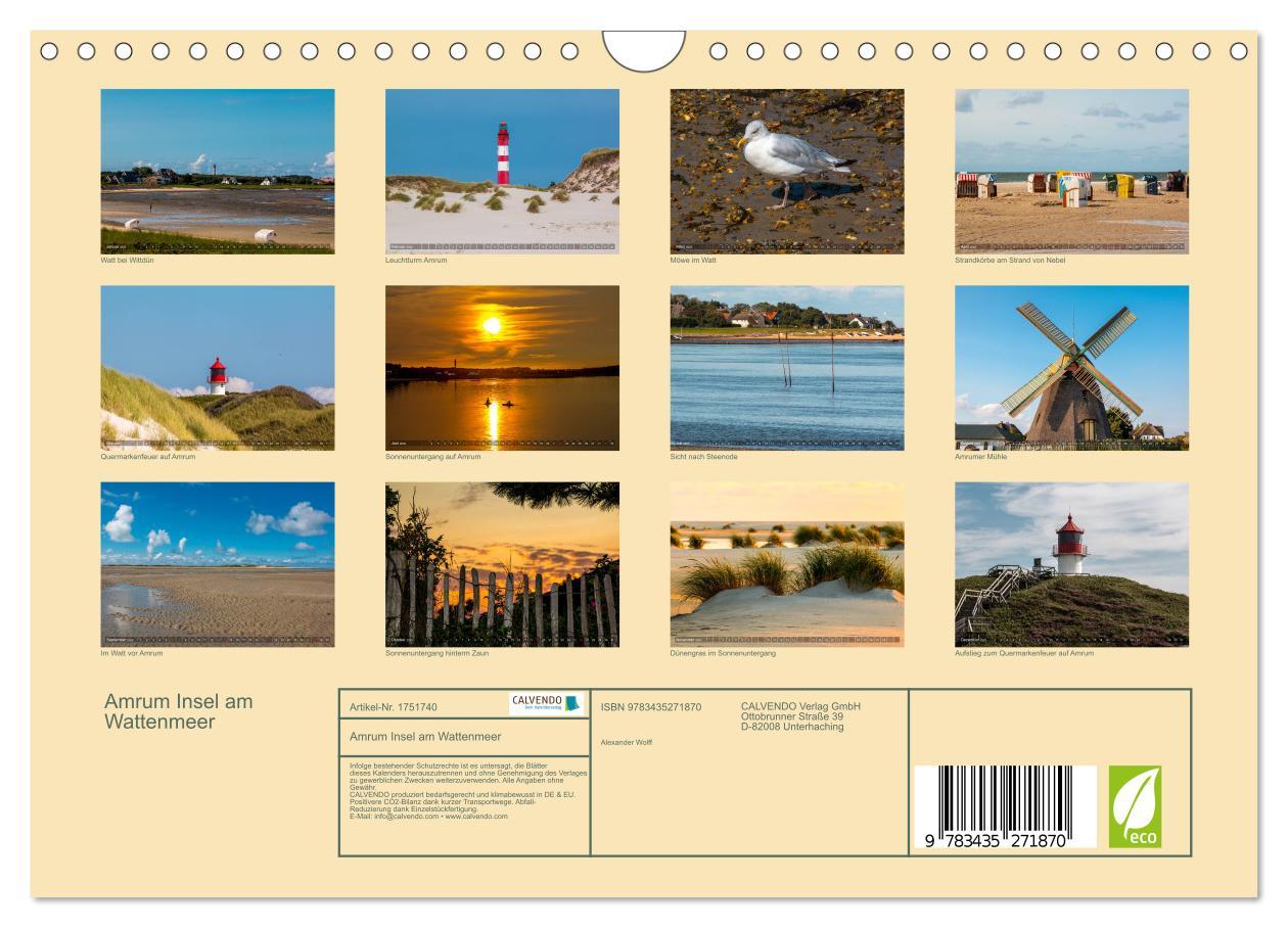 Bild: 9783435271870 | Amrum Insel am Wattenmeer (Wandkalender 2025 DIN A4 quer), CALVENDO...