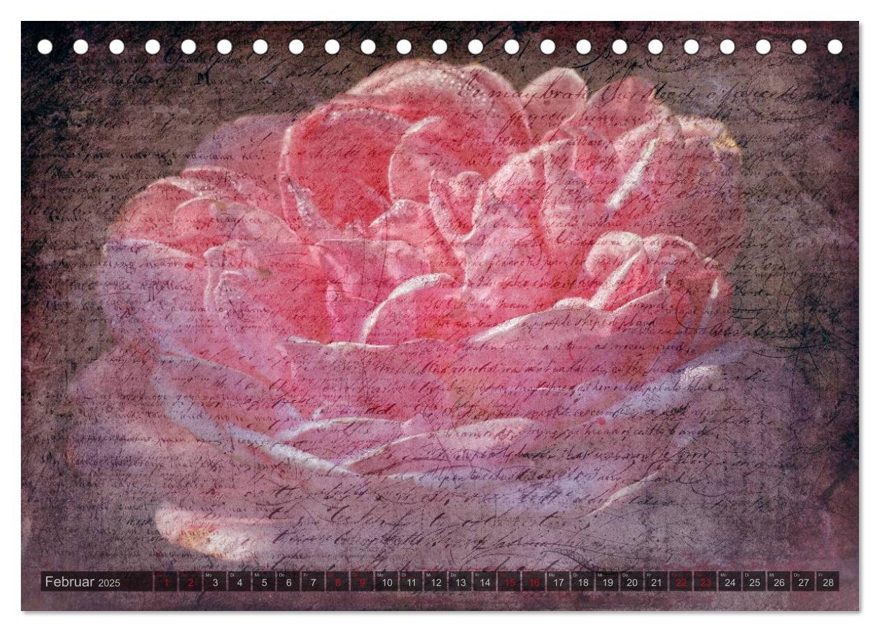 Bild: 9783435659104 | Gothic Rose - Rosen aus dem Garten der Finsternis (Tischkalender...