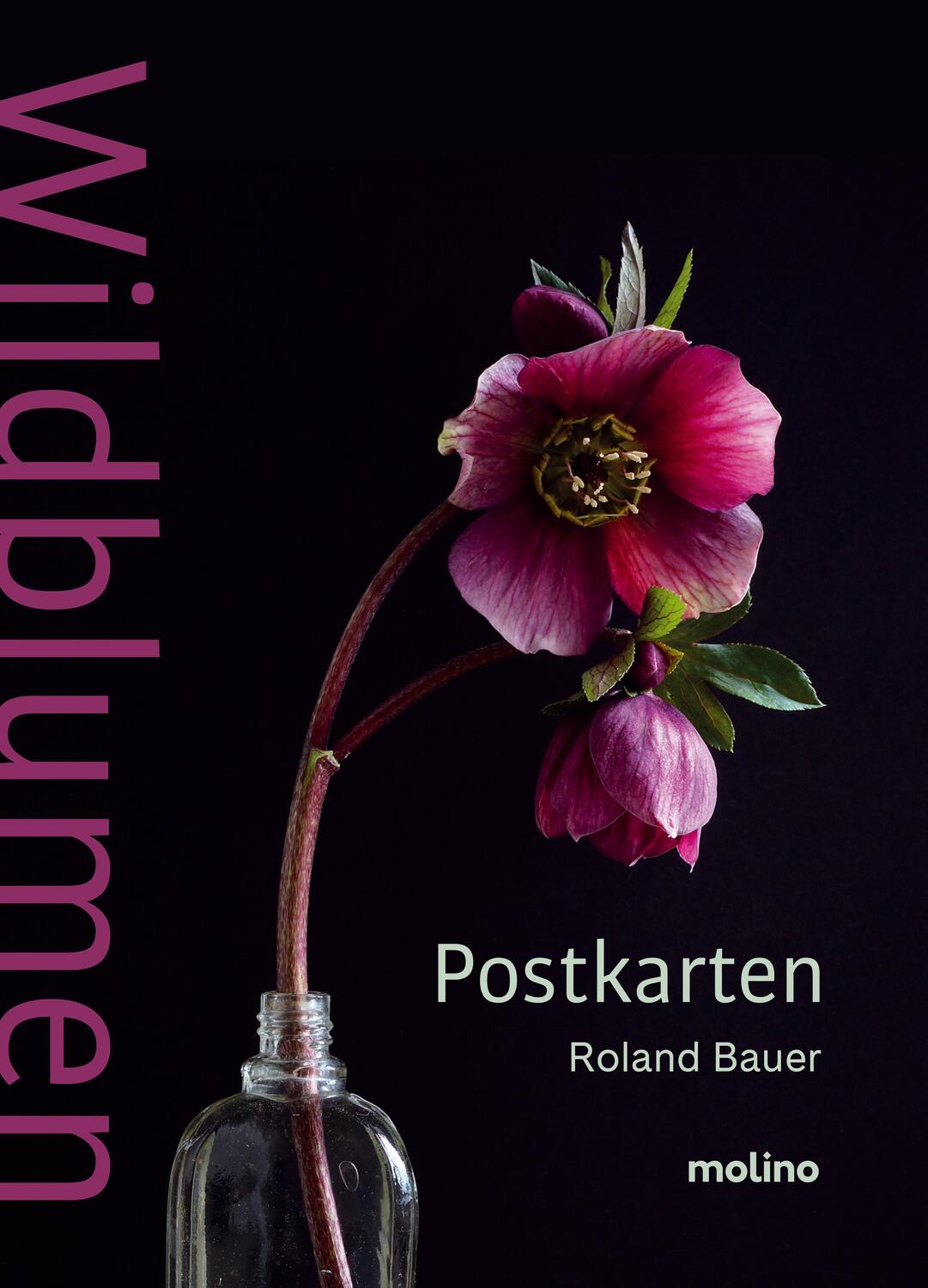 Cover: 9783948696818 | Wildblumen | Roland Bauer | Taschenbuch | 20 S. | Deutsch | 2024