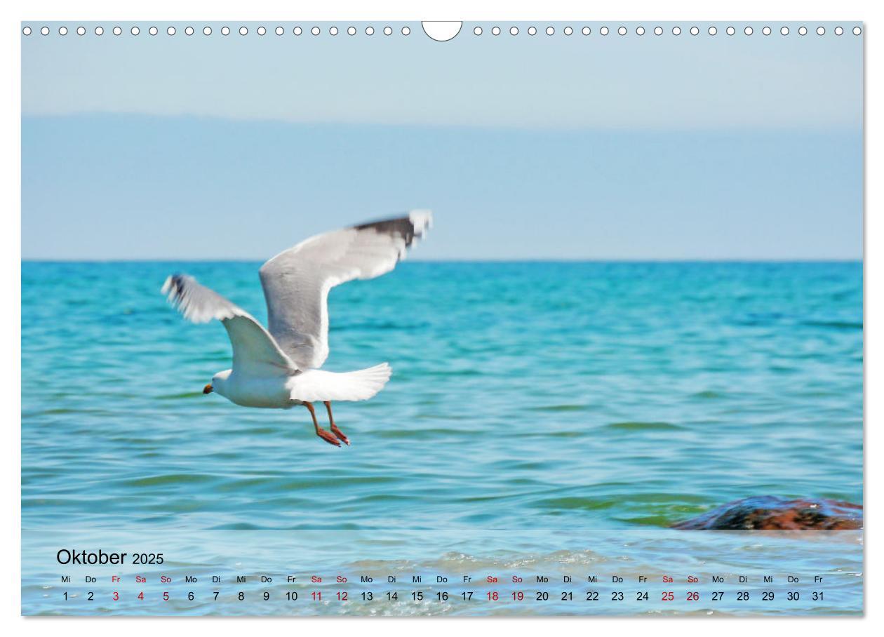 Bild: 9783383953569 | Ostseebad Kühlungsborn. Erholung mit allen Sinnen (Wandkalender...