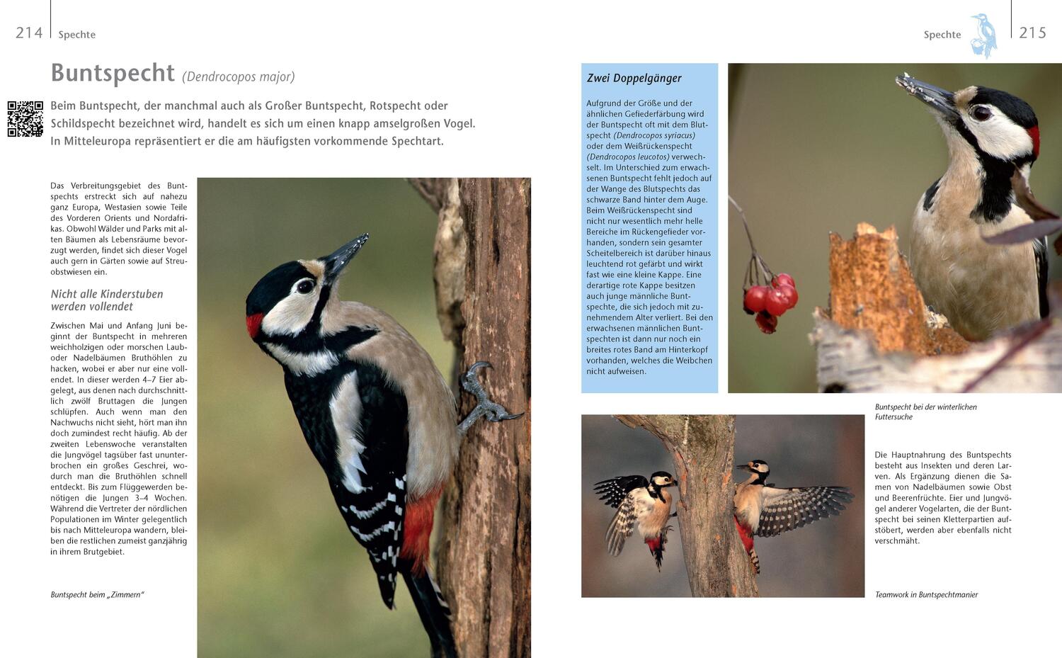 Bild: 9783625192411 | Vögel zu Gast im Garten - Beobachten, bestimmen, schützen. | Gutjahr