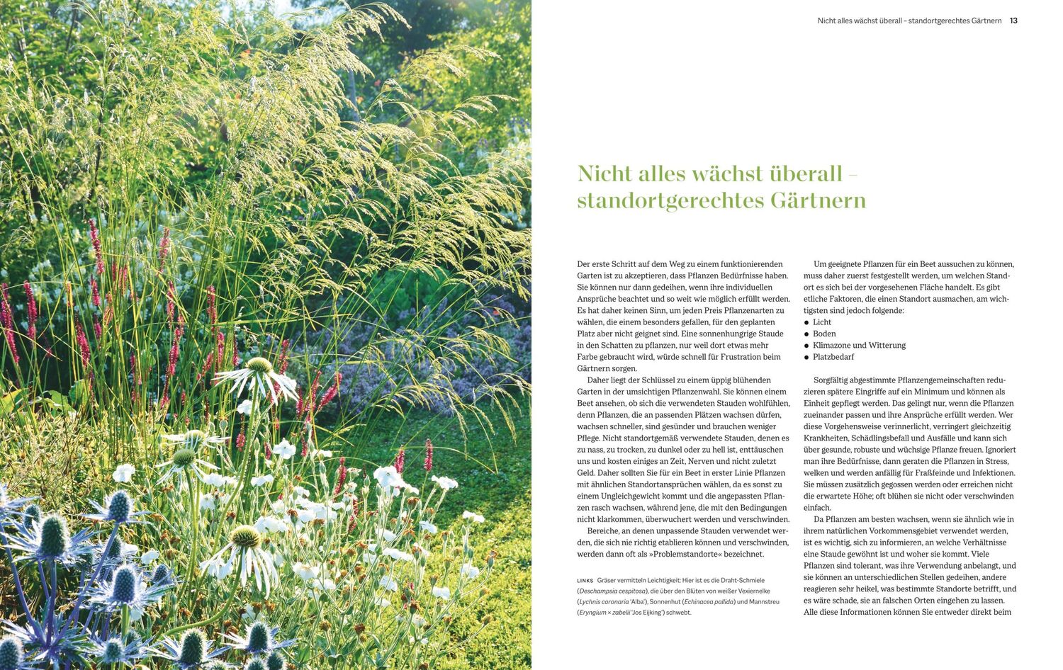 Bild: 9783833894251 | Immerblühende Beete | Katrin Lugerbauer | Buch | Gartengestaltung