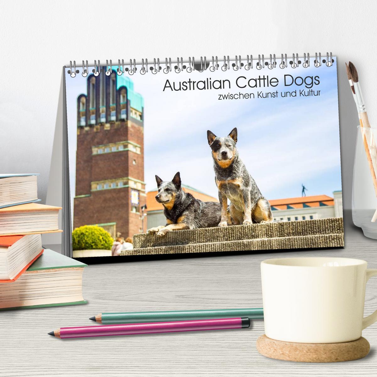 Bild: 9783435462421 | Australian Cattle Dogs zwischen Kunst und Kultur (Tischkalender...