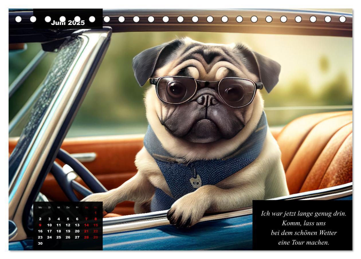 Bild: 9783383918056 | Der humoristische Mops-Kalender (Tischkalender 2025 DIN A5 quer),...