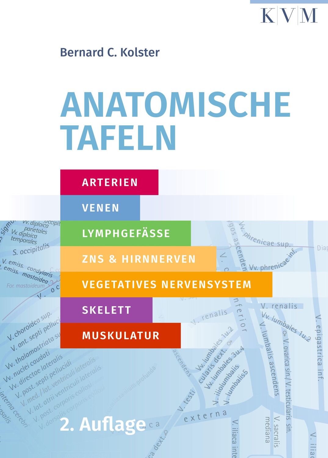 Cover: 9783868676655 | Anatomische Tafeln | Bernard C. Kolster | Broschüre | 80 S. | Deutsch