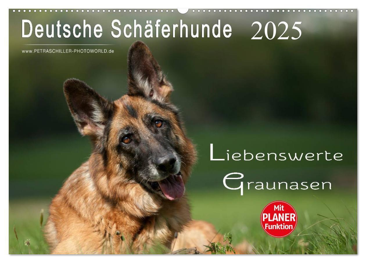 Cover: 9783435473465 | Deutsche Schäferhunde - Liebenswerte Graunasen (Wandkalender 2025...