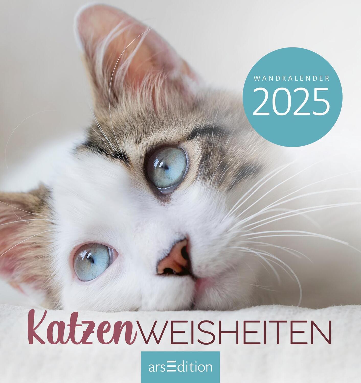 Bild: 4014489133667 | Wandkalender Katzenweisheiten 2025 | Kalender | 26 S. | Deutsch | 2025