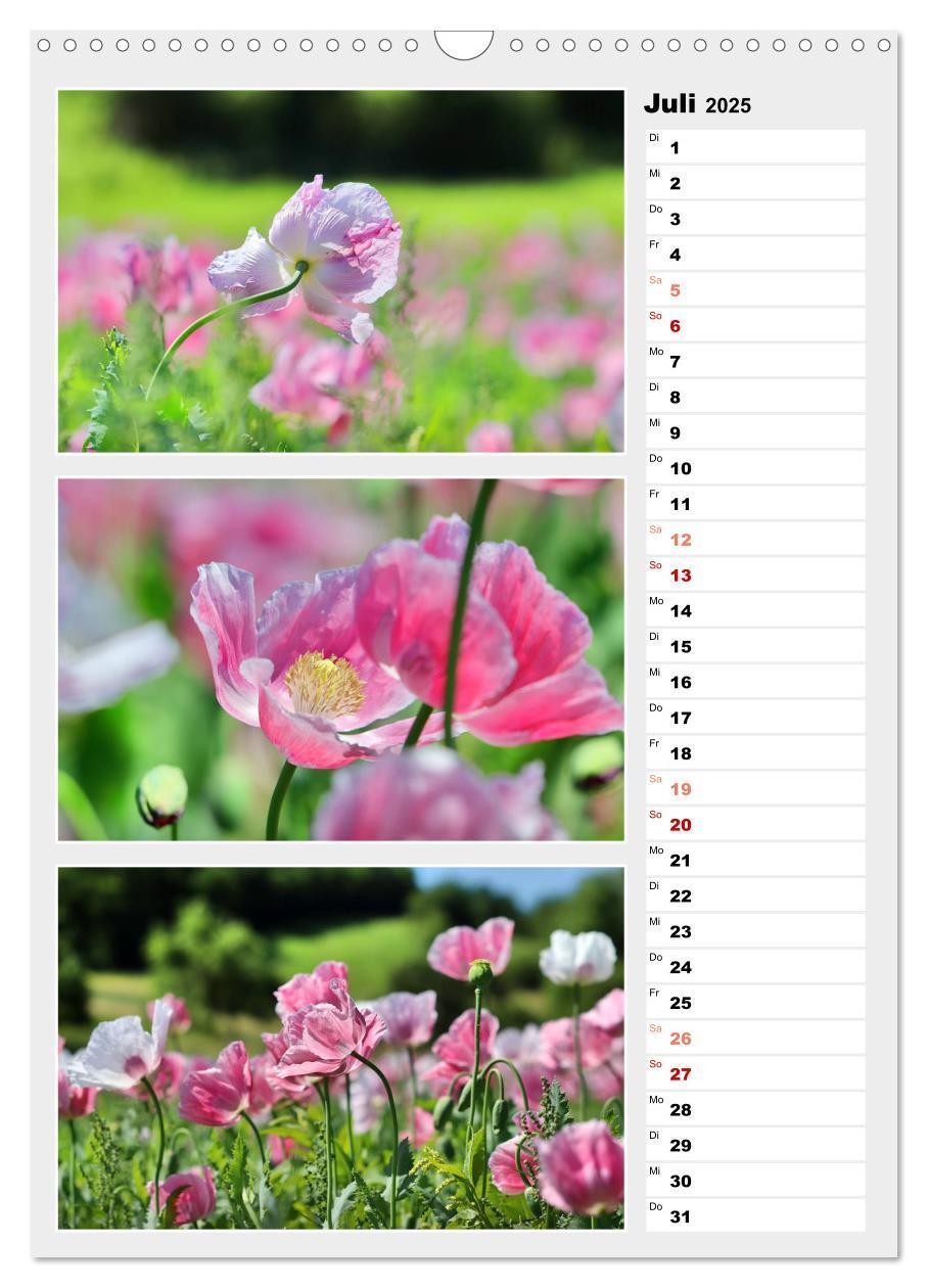 Bild: 9783435889280 | Zauberhafte Farben der Natur (Wandkalender 2025 DIN A3 hoch),...