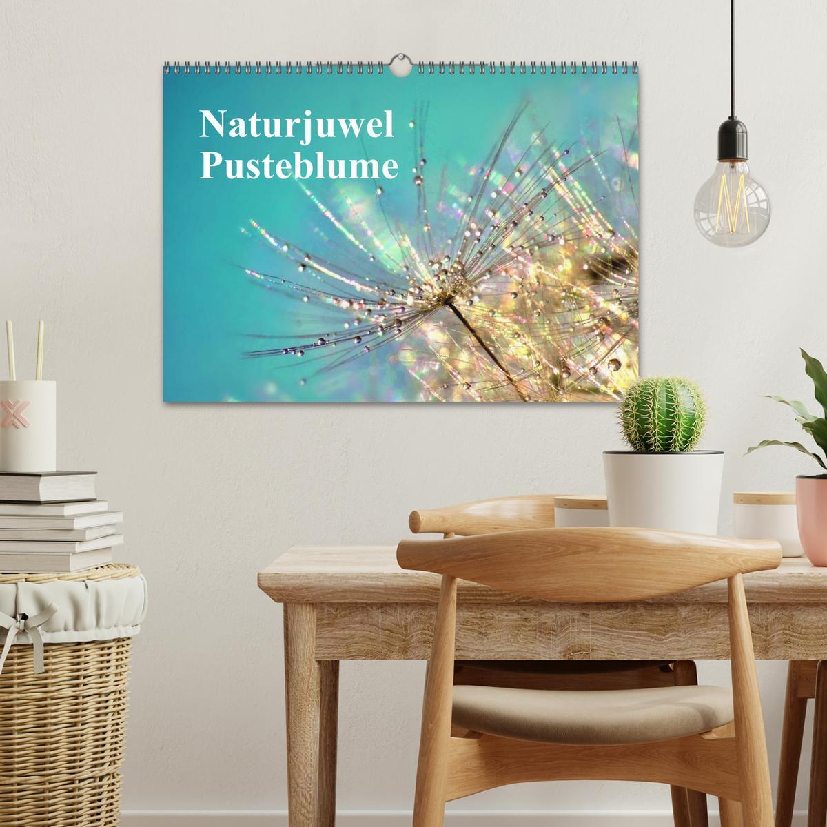 Bild: 9783435746620 | Naturjuwel Pusteblume (Wandkalender 2025 DIN A3 quer), CALVENDO...