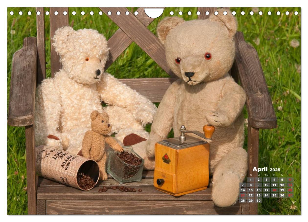 Bild: 9783435576586 | Geliebte Bären - Teddys (Wandkalender 2025 DIN A4 quer), CALVENDO...