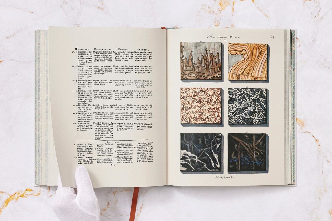 Bild: 9783836594349 | Jan Christiaan Sepp. The Book of Marble | Geert-Jan Koot | Buch | 2023