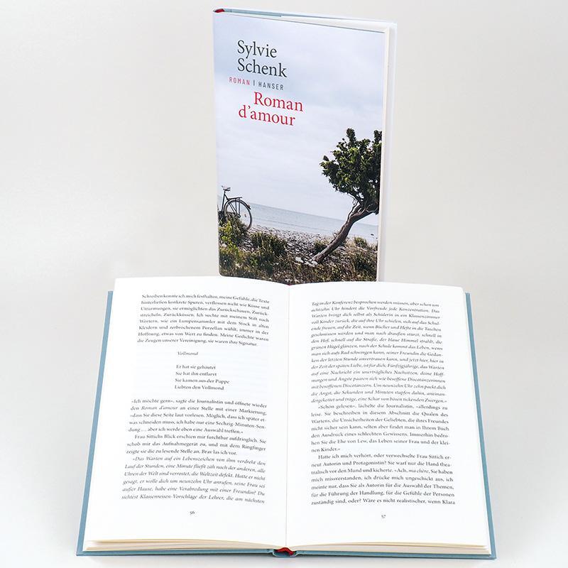 Bild: 9783446269224 | Roman d'amour | Roman | Sylvie Schenk | Buch | 128 S. | Deutsch | 2021