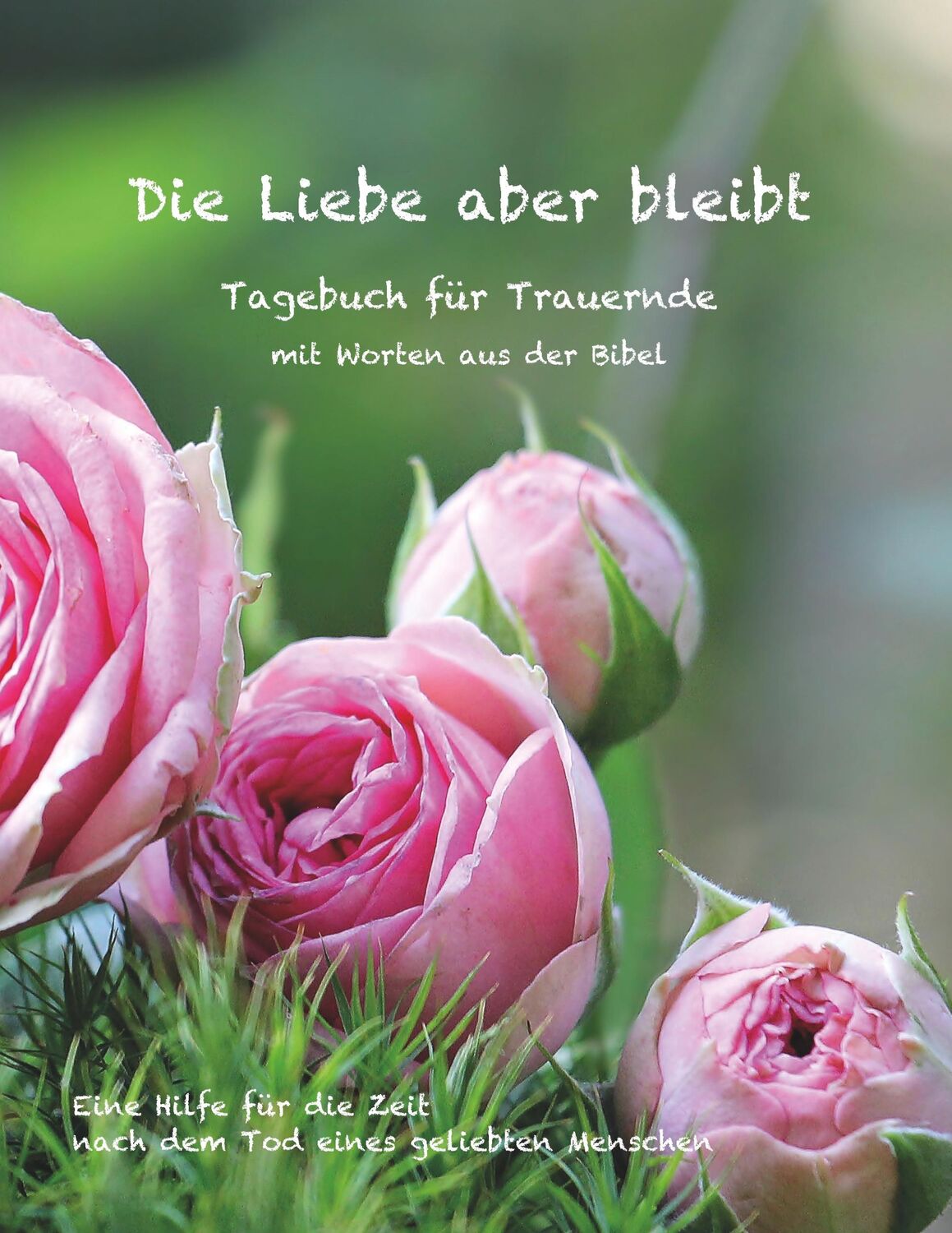 Cover: 9783748146612 | Die Liebe aber bleibt | Ulrike Englmann | Taschenbuch | Paperback