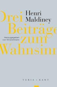 Cover: 9783851329193 | Drei Beiträge zum Wahnsinn | Henri Maldiney | Taschenbuch | 253 S.